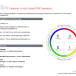 6_Групповой командный отчет_DISC и Мотиваторы RUS-page-004