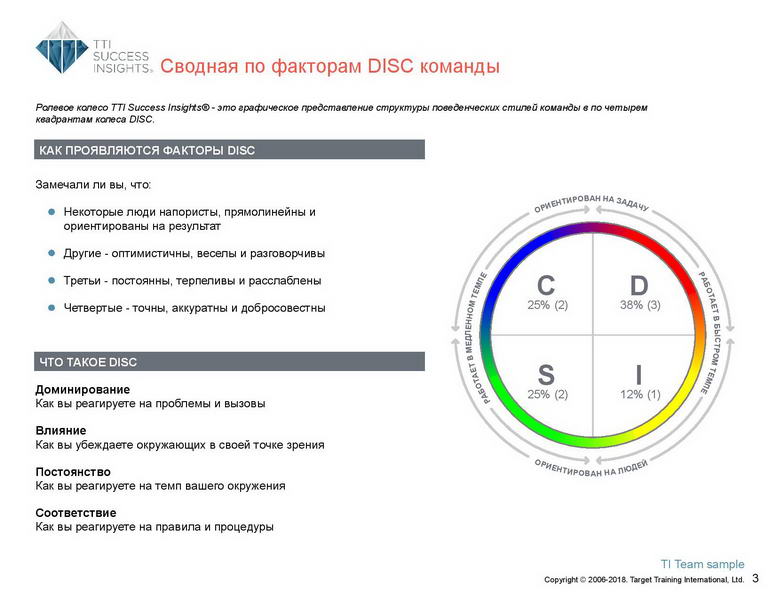 6_Групповой командный отчет_DISC и Мотиваторы RUS-page-004