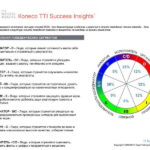 6_Групповой командный отчет_DISC и Мотиваторы RUS-page-005