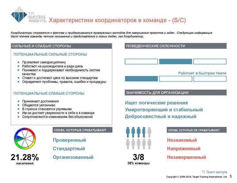 6_Групповой командный отчет_DISC и Мотиваторы RUS-page-006