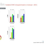 6_Групповой командный отчет_DISC и Мотиваторы RUS-page-007