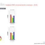 6_Групповой командный отчет_DISC и Мотиваторы RUS-page-009