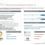 6_Групповой командный отчет_DISC и Мотиваторы RUS-page-010