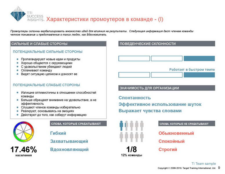 6_Групповой командный отчет_DISC и Мотиваторы RUS-page-010