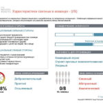 6_Групповой командный отчет_DISC и Мотиваторы RUS-page-016