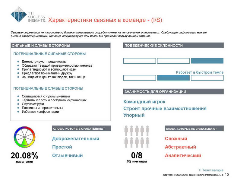 6_Групповой командный отчет_DISC и Мотиваторы RUS-page-016