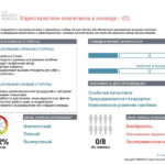 6_Групповой командный отчет_DISC и Мотиваторы RUS-page-017