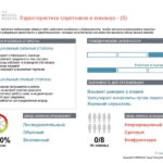 6_Групповой командный отчет_DISC и Мотиваторы RUS-page-018