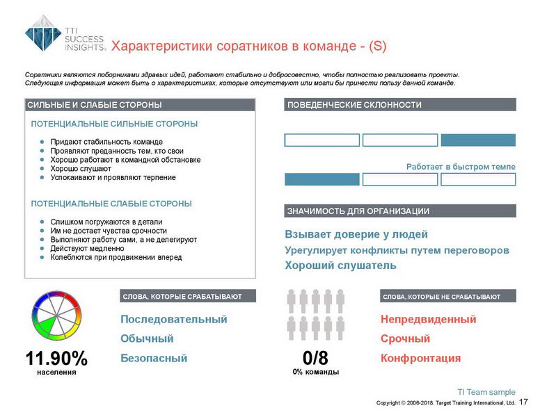 6_Групповой командный отчет_DISC и Мотиваторы RUS-page-018