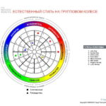 6_Групповой командный отчет_DISC и Мотиваторы RUS-page-024