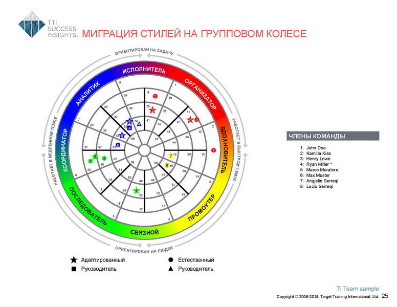 6_Групповой командный отчет_DISC и Мотиваторы RUS-page-026