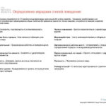 6_Групповой командный отчет_DISC и Мотиваторы RUS-page-027