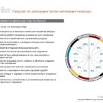 6_Групповой командный отчет_DISC и Мотиваторы RUS-page-031