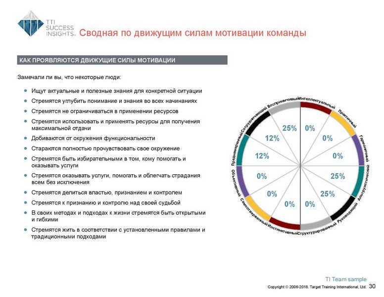 6_Групповой командный отчет_DISC и Мотиваторы RUS-page-031