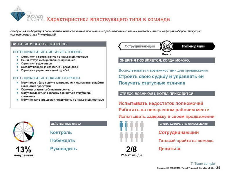 6_Групповой командный отчет_DISC и Мотиваторы RUS-page-035