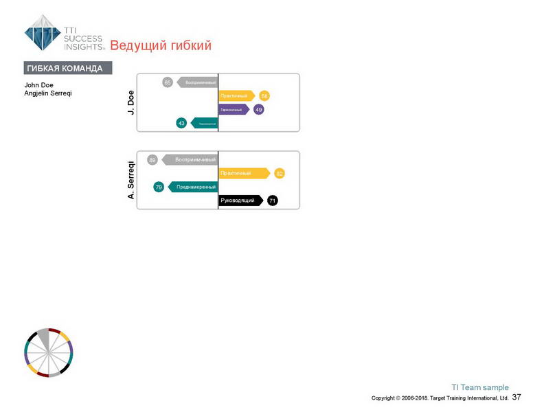 6_Групповой командный отчет_DISC и Мотиваторы RUS-page-038