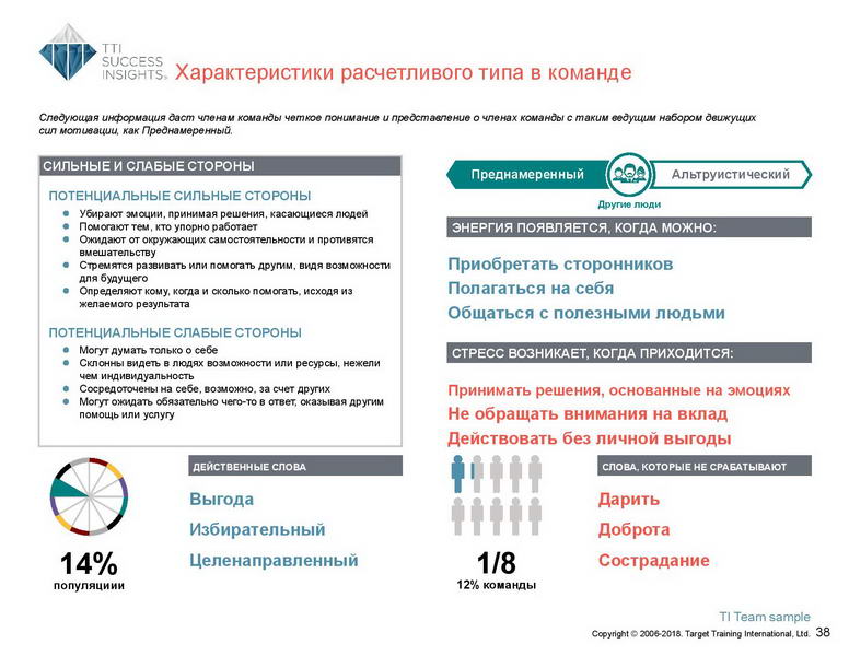 6_Групповой командный отчет_DISC и Мотиваторы RUS-page-039