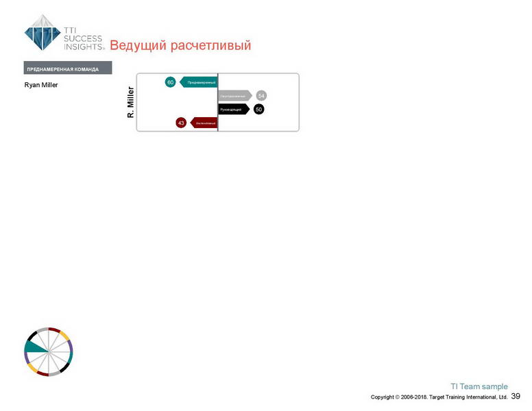 6_Групповой командный отчет_DISC и Мотиваторы RUS-page-040