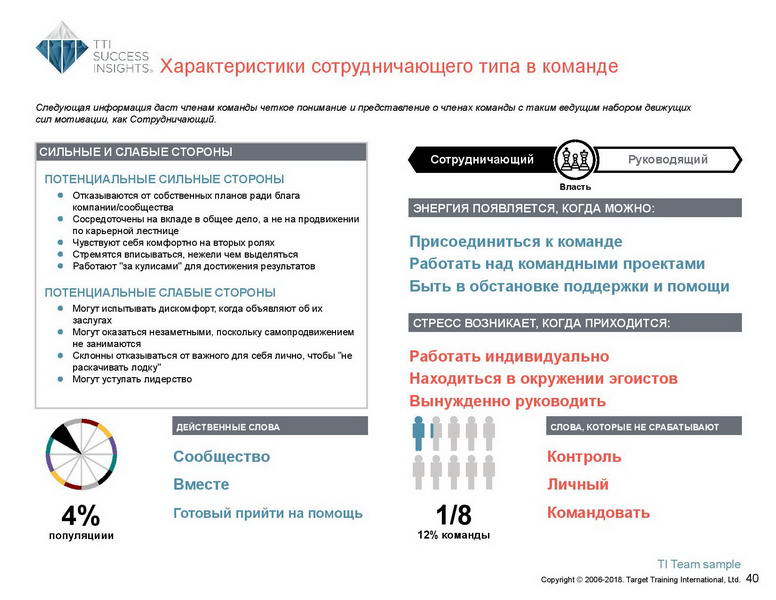 6_Групповой командный отчет_DISC и Мотиваторы RUS-page-041