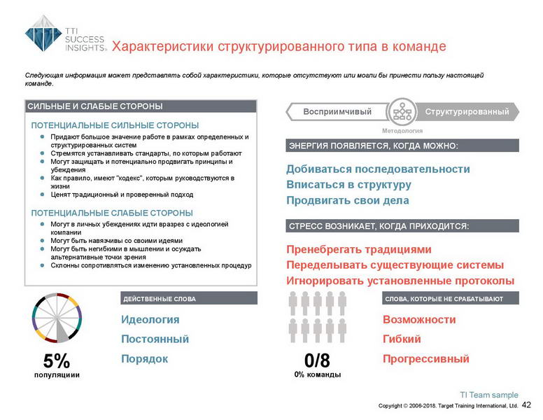 6_Групповой командный отчет_DISC и Мотиваторы RUS-page-043