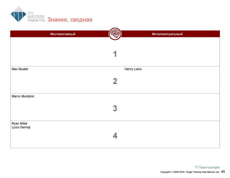 6_Групповой командный отчет_DISC и Мотиваторы RUS-page-050