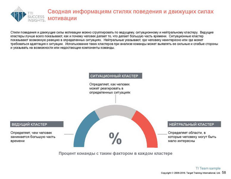 6_Групповой командный отчет_DISC и Мотиваторы RUS-page-059