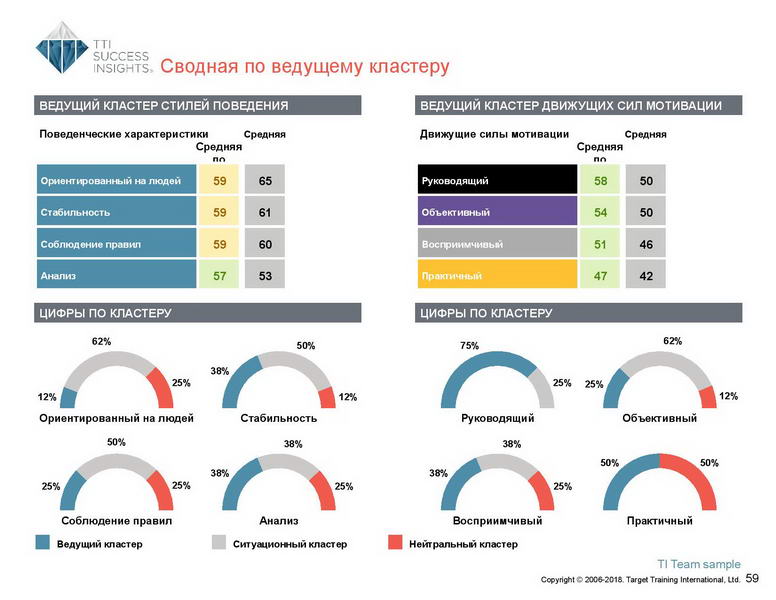 6_Групповой командный отчет_DISC и Мотиваторы RUS-page-060