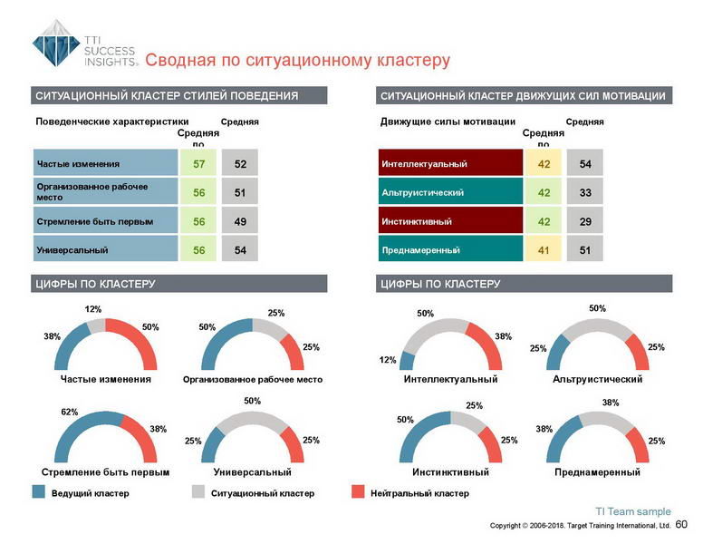 6_Групповой командный отчет_DISC и Мотиваторы RUS-page-061