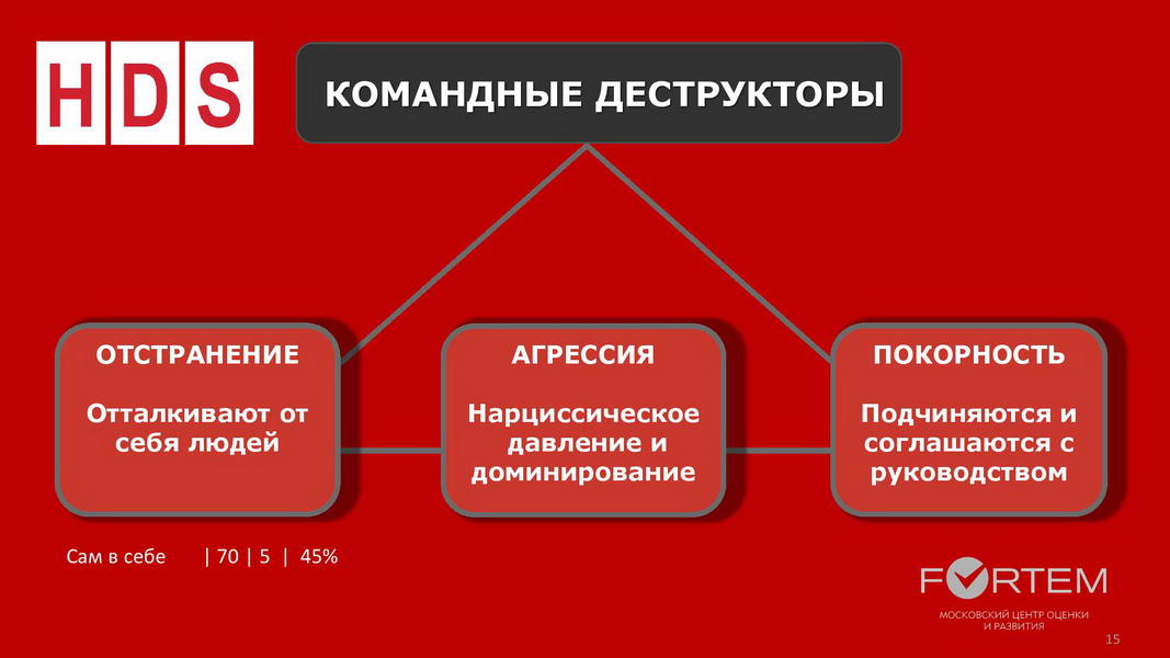 V1_Командный отчет HOGAN_Компания ABC_для Заказчика_2020_Пример-page-015